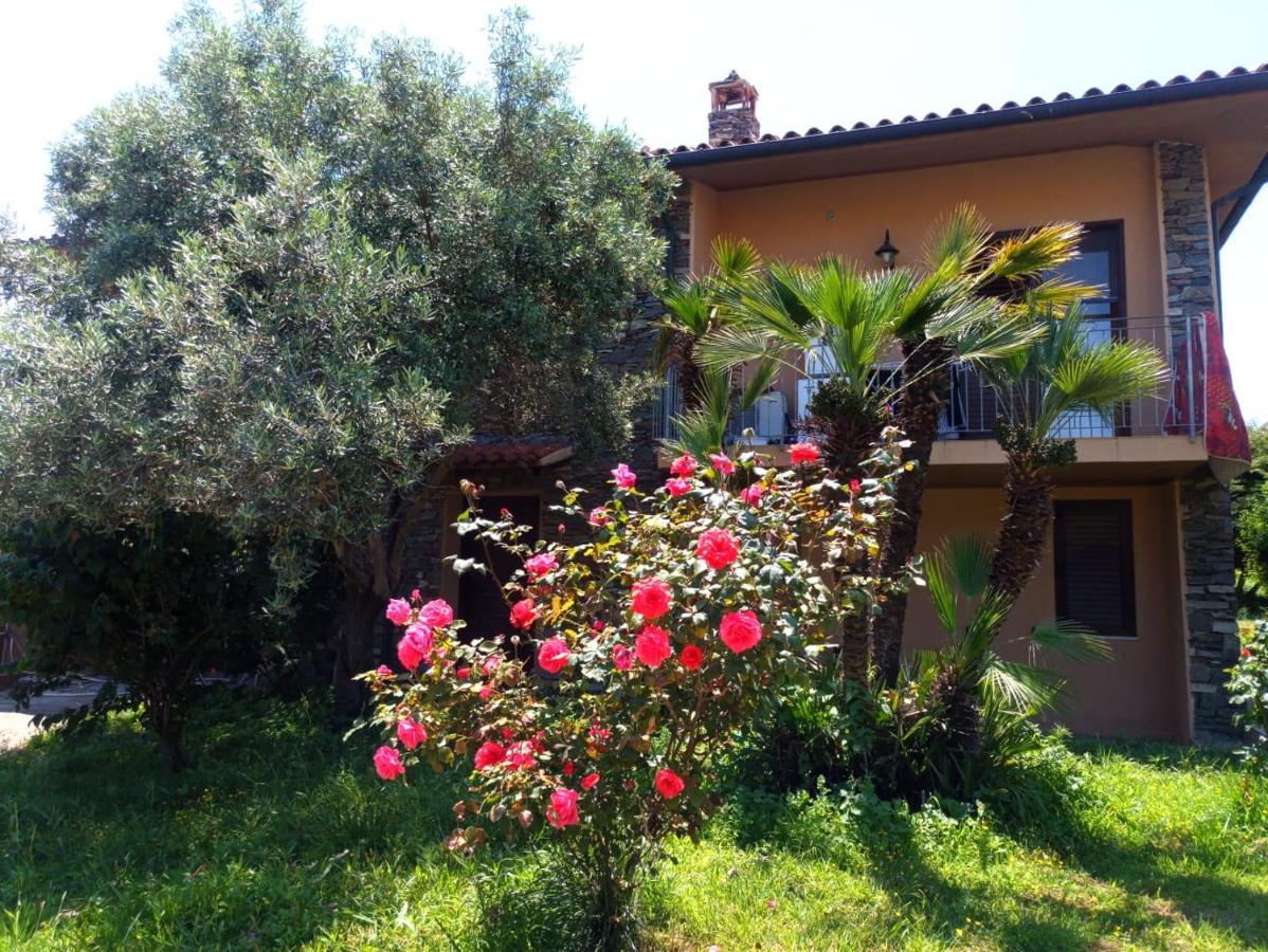 Viliam B&B Olbia Exteriér fotografie