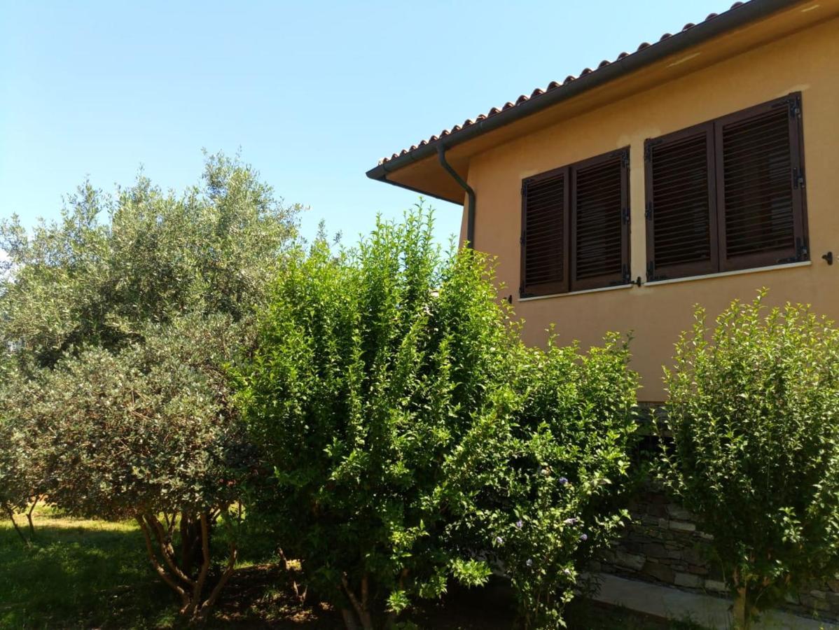 Viliam B&B Olbia Exteriér fotografie